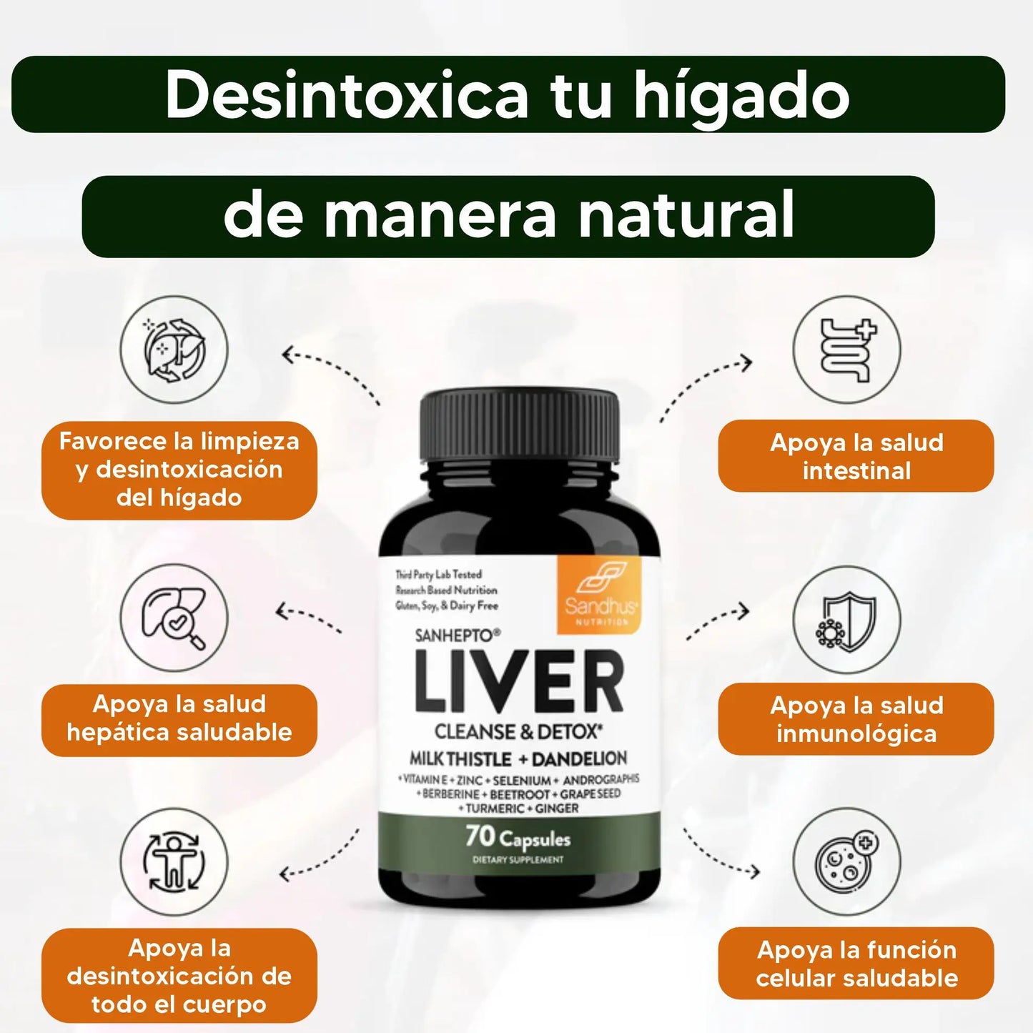 Liver® | Limpia y desintoxica tu hígado Naturalmente